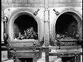 Caller: Jews with Guns Could have Stemmed Nazi Atrocities...