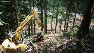 高性能林業機械　ハーベスタ