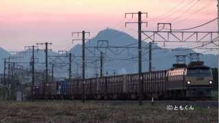 東海道本線　穂積　－　関ヶ原　2012/06撮影　EF66