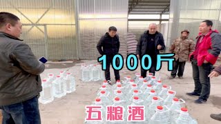 山东青岛五兄弟，嗜酒如命，1000斤粮食酒“好喝！比五粮液香醇”