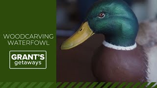 Wood carvings of Oregon's beloved ducks, geese on display at Astoria wildlife show