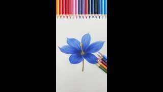 【彩鉛教學】彩鉛超詳細講解冰棍的畫法丨color pencil drawing