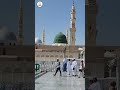 riyazul jannah me hazri ریاض الجنۃ میں نماز rawdah ziyarat riazul janna permit