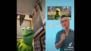 Kermit is my Boyfriend! (Taylor Swift TikTok Parody)