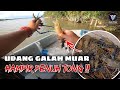 Lubuk Yang Jarang Mengecewakan..!! | Udang Galah Sungai Muar #97