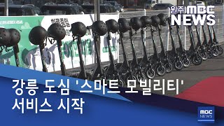 2020. 11. 12 [원주MBC] 강릉 도심 '스마트 모빌리티' 서비스 시작