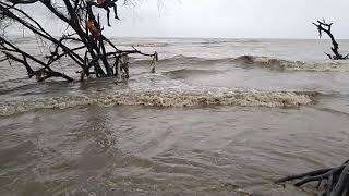 Shirgaon beach (shirgaon)