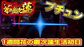 【1週間花の慶次蓮生活初日】花の慶次パチンコ P花の慶次蓮 1週間蓮打ち続けたらどんだけ勝てる？ 鬼門の初日の結果は⁈  キセル・フリーズ・プレミアレインボー慶次保留 パチンコ実践【ニューギン 】