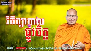 វិធីព្យាបាលផ្លុវចិត្តធម៌អប់រំចិត្ត/Kou Sopheap/គូ សុភាពMakara Tong Leng