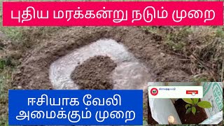 நிழல் தரும் மரங்களை செலவில்லாமல் நடுவது எப்படி? பட்டுப்புழு வளர்ப்பு மனையில்  நிழல் தரும் மரங்கள்