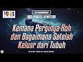 At-Tadzkirah #13 – Bab Proses Kematian: Kemana Perginya Roh dan Bagaimana Setelah Keluar dari Tubuh