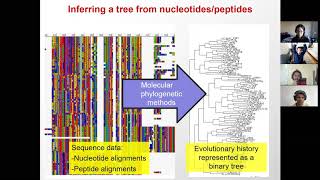 6.047/6.878 Lecture 19 - Phylogenetics (Fall 2020)