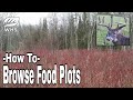 Incredible Browse Food Plots For Deer