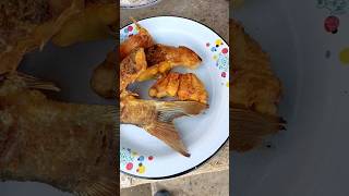 Baliq o'choqda pishsa boshqacha mazali bo'lishini bilasizmi? #food #fish #рыба #recipe #cooking #by