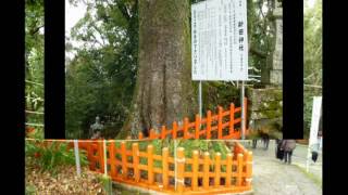 ムービー新田神社参拝