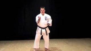 Wansu Kata of Isshin-Ryu Karate Michael Calandra