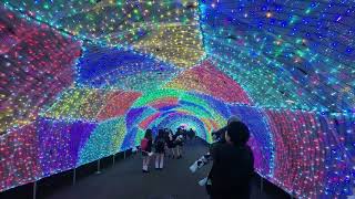 Yomiuriland Jewelluminations  - The Tokyo Winter Lights Locals Go To