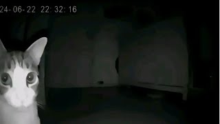 A Schizogram Compilation | Cursed Videos