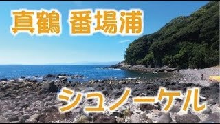 真鶴半島 番場浦海岸 シュノーケル