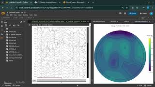 Power Spectral Density & Top-Map Visualization: An Advanced MNE-Python Workflow for EEG Data