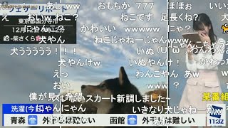 【大島璃音】猫コーナーのはずが犬を連発されて困惑するりのんちゃん(2021.12.12)