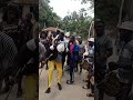 une ambiance hors du commun en casamance diatock kankourang diola kumpo senegal ousmanesonko