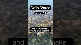 1 Verse,1 Minute: Proverbs3:5 #daily #bible #verseoftheday #proverbs #trust #spiritualgrowth #shorts