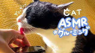 👅ASMR_cat 🎧爪のお手入れをする猫のグルーミングの音。（飼い主へのグルーミング付き）