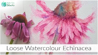 Loose Watercolour Echinacea