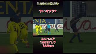 世界の名GK紹介〜小国が生んだ最強のGK、ヤン・オブラク〜 #gk