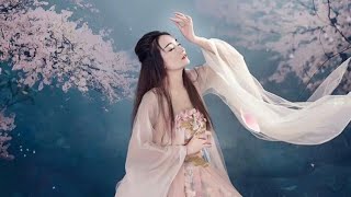 花雨落_任然 Flowers Rain/動態歌詞/日本語訳付き/English subtitles