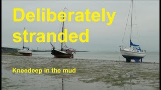 A tide at Vlieland, deliberately stranded