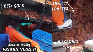 UNLOADING 1800kg of lobster after 9 days at sea!. life updates and more.-- Friars fishing vlog 11