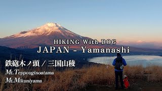 鉄砲木ノ頭 / 三国山稜 -  絶景!!富士山と静かな尾根歩きが味わえるお勧め山歩  - 愛犬とおでかけ