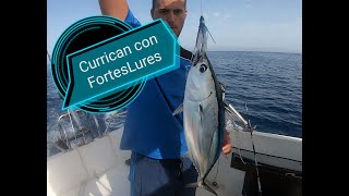 Jornada a Currican con señuelos FortesLures