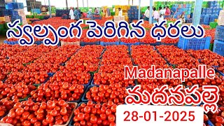 Madanapalle Tomato market price today 28-01-2025 Madanapalle Tomato mundy rates daily #tomato