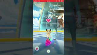 誰ですか？ロケット団のニャースに負けたの（笑） ポケモンＧＯ