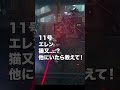 アンビーさんがあまりにもmgsの雷電すぎる ゼンレスゾーンゼロ ゼンゼロ zzz