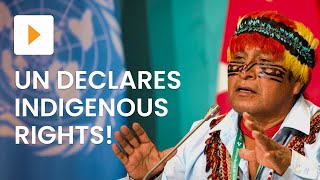 Understanding UNDRIP: Protecting Indigenous Peoples' Rights Worldwide | History | ClickView