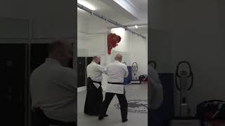 #aikido #martialartsTaijutsu #aikidotechniques