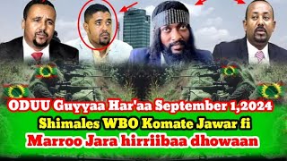 Hasawa Obbo Shimales WBO Komate Jawar fi Marroo Jara hirriibaa dhowaan September 1,2024