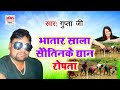 audio_song bhatar sala sautinke dhan ropata gupta ji भातार साला सौतिनके धान रोपता mbs music