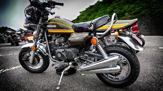 HONDA Monkey→Kawasaki Z2 Look 🔥 ホンダ モンキー Z2 ルック