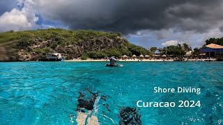 Shore Diving in Curacao 2024