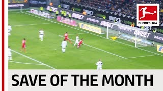 Vote For The Best Save of the Month - Neuer, Sommer, Gulacsi & More