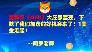 柴狗币（shib）大庄家套现，下跌了我们加仓的好机会来了！1美金走起！ --数字货币区块链投资，火币，okex，币安交易所视频教程