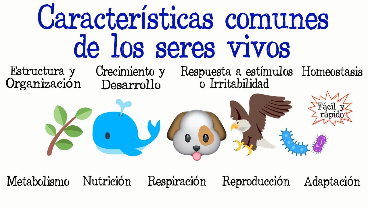 Caracteristicas Generales De Los Seres Vivos Biologia - Dinami