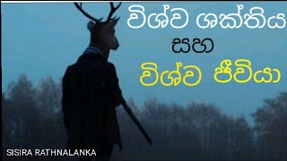 විශ්ව ශක්තිය සහ විශ්ව ජීවියා