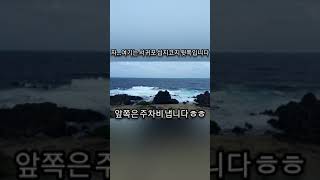 [제주생활]제주도 효리네민박에 이효리가 찾아간 \