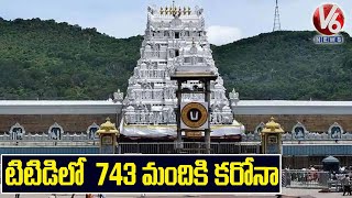 743 TTD employees test positive for coronavirus: TTD EO Anil Singhal | V6 News